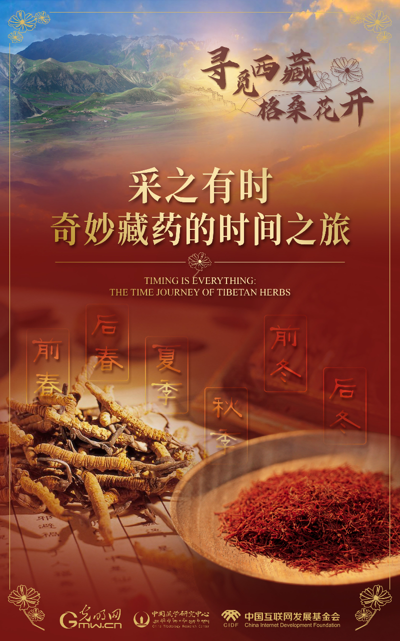 【尋覓西藏·格?；ㄩ_】采之有時：奇妙藏藥的時間之旅