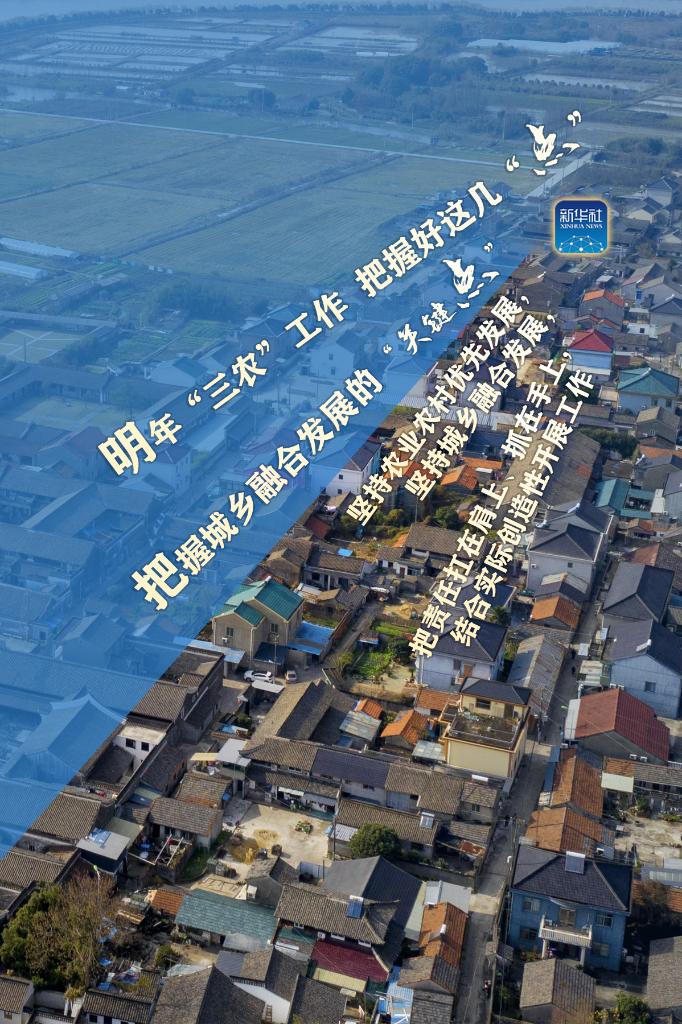 明年“三農(nóng)”工作，這幾個“點(diǎn)”要把握好