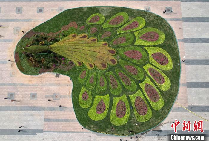 圖為航拍花壇。(無人機(jī)照片) 翟羽佳 攝