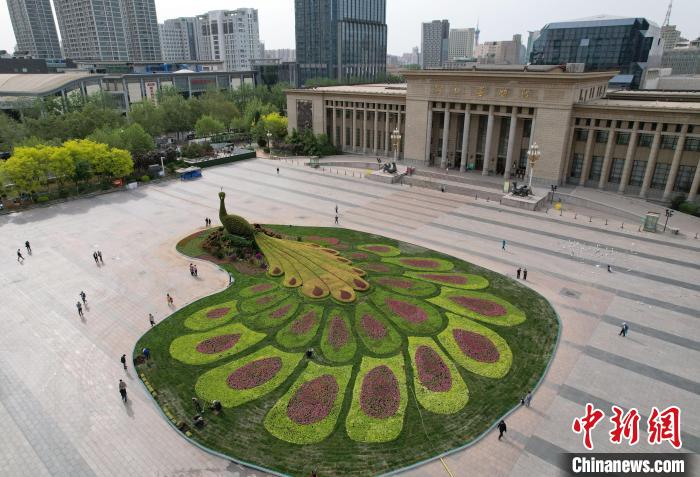 圖為航拍花壇。(無人機(jī)照片) 翟羽佳 攝