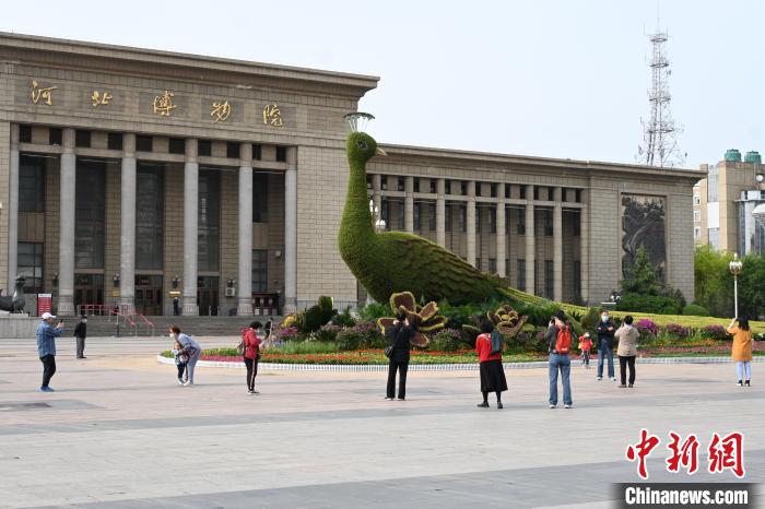 圖為游客在花壇前拍照打卡?！〉杂鸺?攝