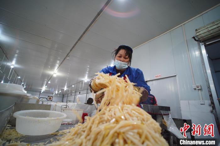 圖為一名工人正在處理切成條狀后的酸筍?！№f國政 攝