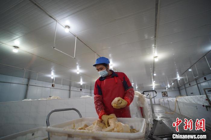 圖為一名工人正在查看酸筍腌制效果?！№f國政 攝