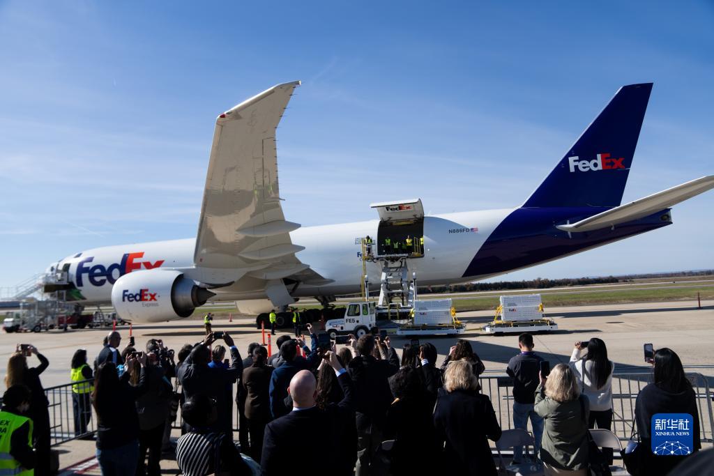 11月8日，在美國(guó)弗吉尼亞州的華盛頓杜勒斯國(guó)際機(jī)場(chǎng)，裝有大熊貓的特制“旅行包廂”準(zhǔn)備運(yùn)上專機(jī)。新華社記者劉杰攝