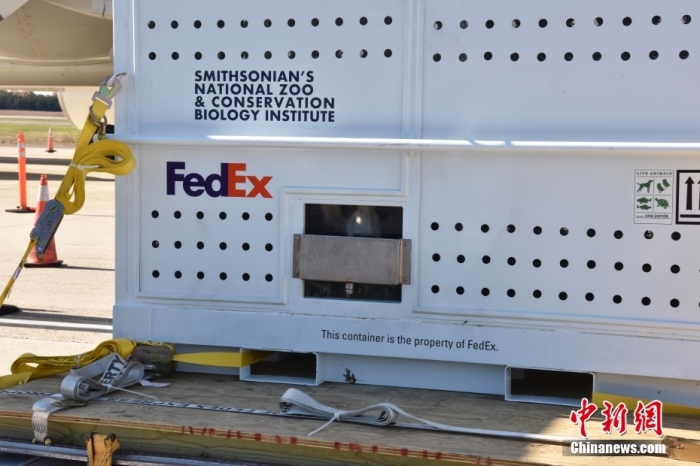 當(dāng)?shù)貢r(shí)間11月8日，美國(guó)華盛頓史密森學(xué)會(huì)國(guó)家動(dòng)物園的大熊貓“美香”“添添”和它們的幼崽“小奇跡”乘坐的專(zhuān)機(jī)從華盛頓杜勒斯國(guó)際機(jī)場(chǎng)起飛前往中國(guó)成都。圖為裝有大熊貓的特制“旅行箱”。<a target='_blank' href='/'><p  align=