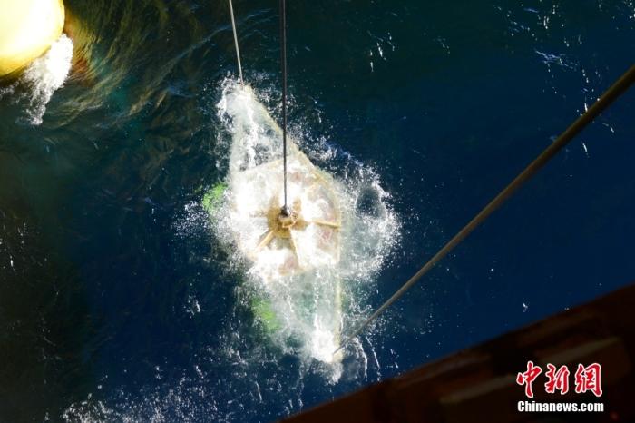 機(jī)器人入水瞬間。<a target='_blank' href='/' _fcksavedurl='/' ><p  align=