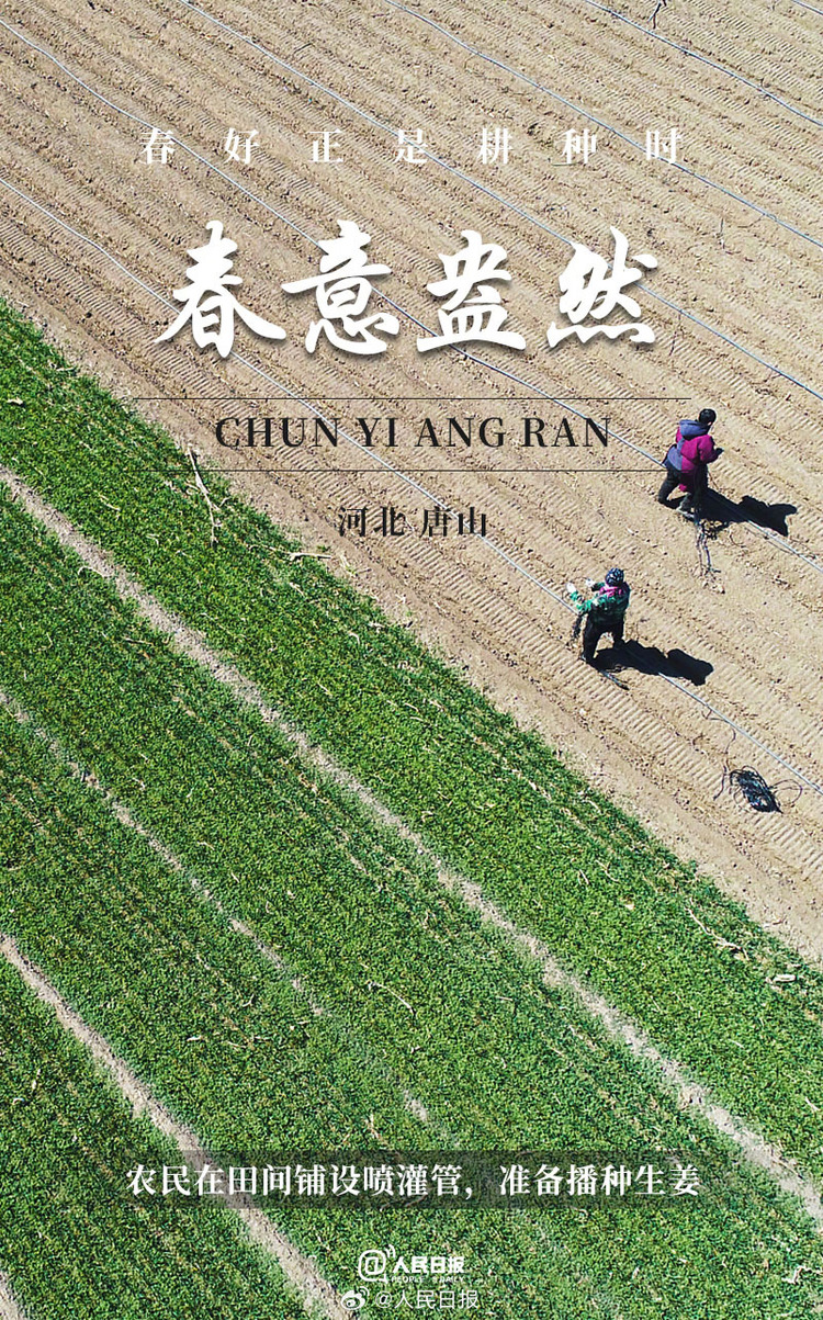 生機(jī)盎然！用課本封面打開春耕畫卷