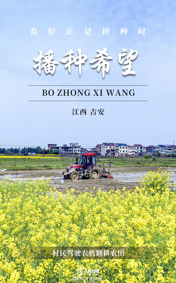 生機(jī)盎然！用課本封面打開春耕畫卷