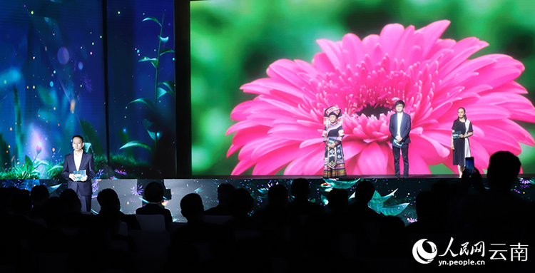 科技賦能 云南開遠(yuǎn)花卉產(chǎn)業(yè)綻放“美麗經(jīng)濟”