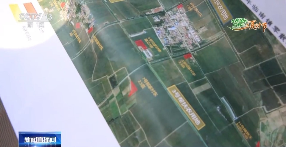 “三夏”生產(chǎn)思維導(dǎo)圖安排上了！還有政府大院等你來“曬”