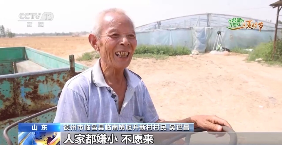 “三夏”生產(chǎn)思維導(dǎo)圖安排上了！還有政府大院等你來“曬”