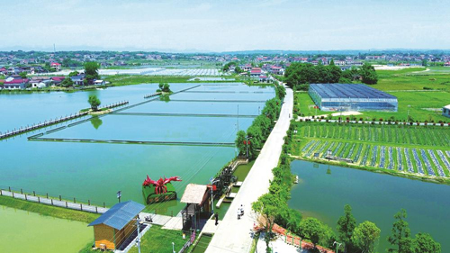 近年來，大成橋鎮(zhèn)堅持加強黨對鄉(xiāng)村治理的集中統(tǒng)一領(lǐng)導(dǎo)，該鎮(zhèn)鄉(xiāng)村治理模式入選第二批全國鄉(xiāng)村治理典型案例。圖為美麗的大成橋鎮(zhèn)。（資料圖片）