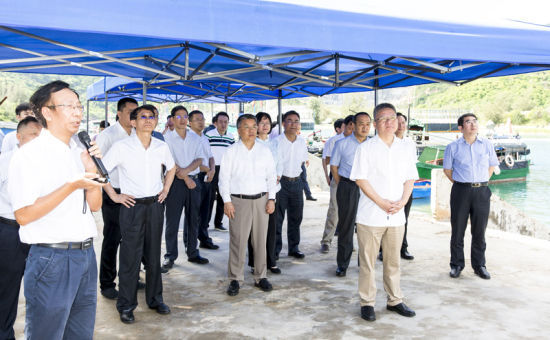 2019年6月21日上午，省長沈曉明率省政府班子成員在三亞鐵爐港調(diào)研項目規(guī)劃建設(shè)情況。海南日報記者 宋國強 攝
