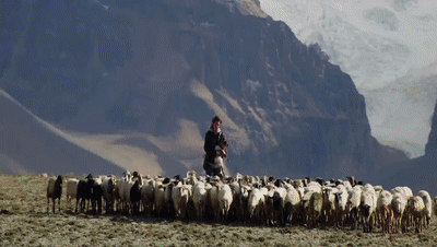 你看了嗎？藏語版《日光之城》“含金量”還在上升！