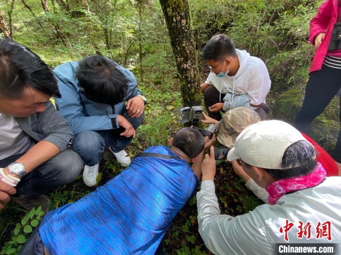 圖為訪客正在查看紅外相機(jī)中的拍攝畫面。　李江寧 攝