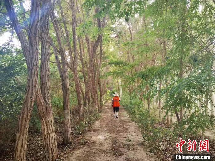 戈壁灘上的護(hù)林員：以前風(fēng)吹睜不開(kāi)眼，現(xiàn)在滿眼皆綠色