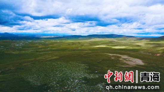 圖為長江南源沼澤濕地。李江寧攝