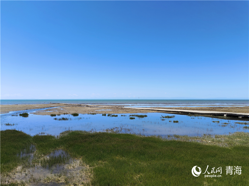 青海湖仙女灣。人民網 張莉萍攝
