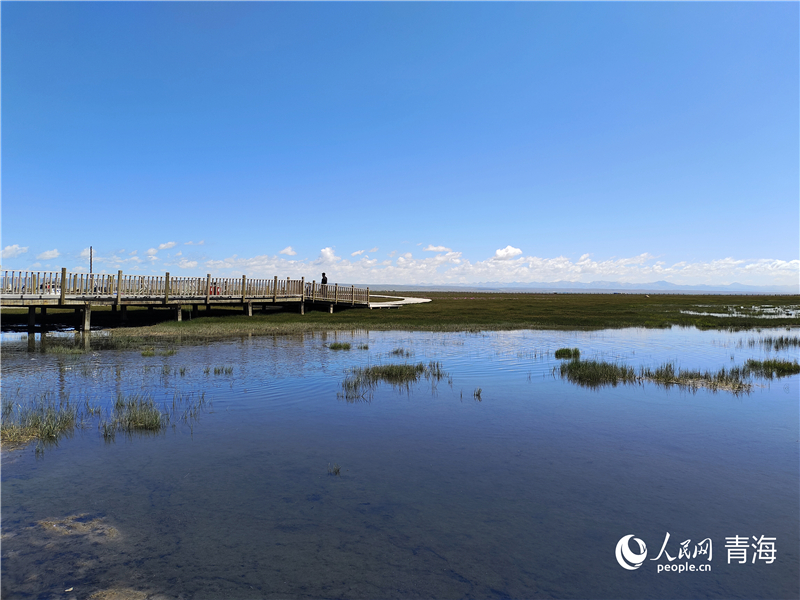   青海湖仙女灣。人民網(wǎng) 張莉萍攝