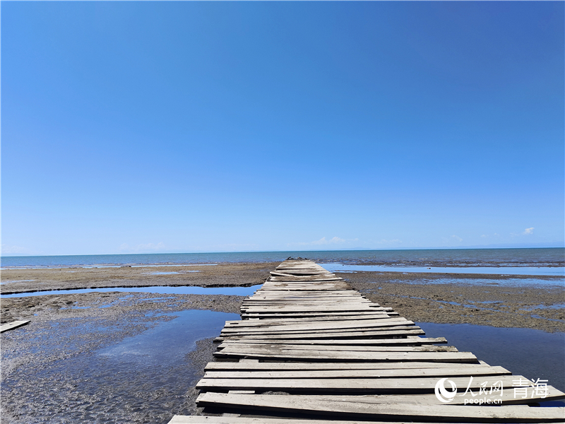   青海湖仙女灣。人民網(wǎng) 張莉萍攝