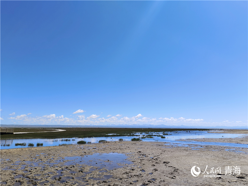   青海湖仙女灣。人民網(wǎng) 張莉萍攝