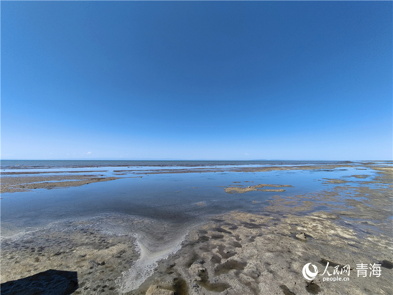   青海湖仙女灣。人民網(wǎng) 張莉萍攝