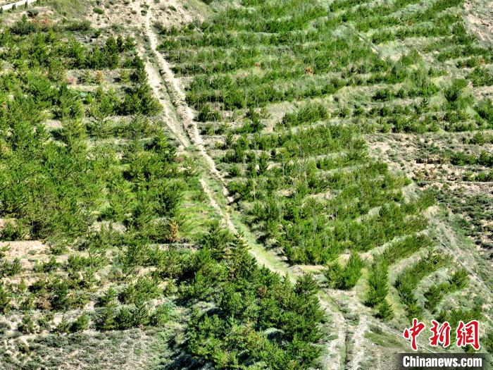 航拍建行青海省分行綠化區(qū)?！∑钤鲚?攝