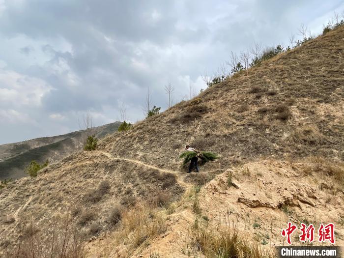 資料圖為建行青海省分行綠化區(qū)施工隊(duì)隊(duì)員人工運(yùn)樹苗?！〗ㄐ星嗪Ｊ》中泄﹫D