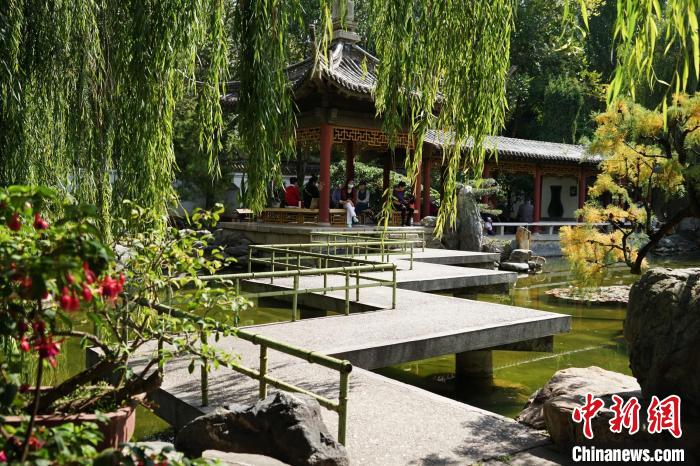 圖為西寧園林植物園秋日風景別有韻味?！●R銘言 攝