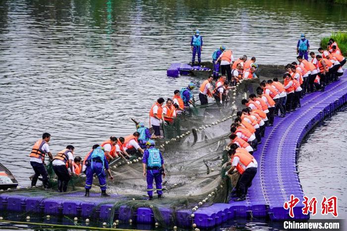 捕撈現(xiàn)場(chǎng)?！≈鬓k方供圖