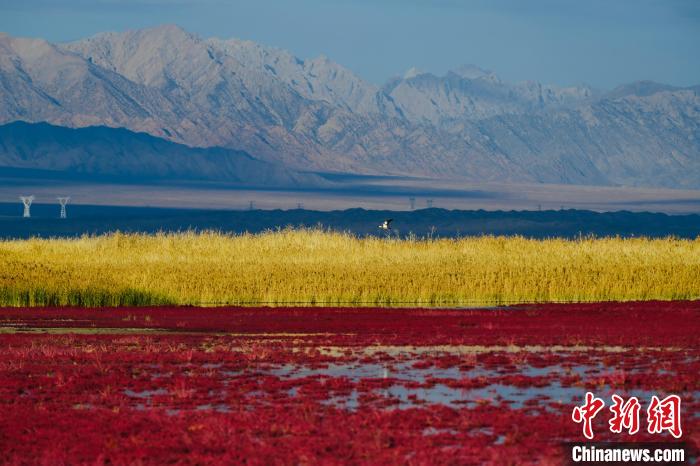 圖為柴達(dá)木盆地可魯克湖?！」?攝