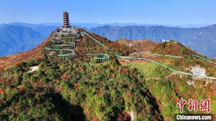 巴山大峽谷彩林迎來最佳觀賞期?！∫κ?攝