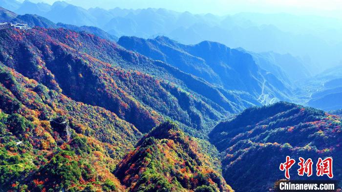 巴山大峽谷彩林迎來最佳觀賞期?！埰?攝