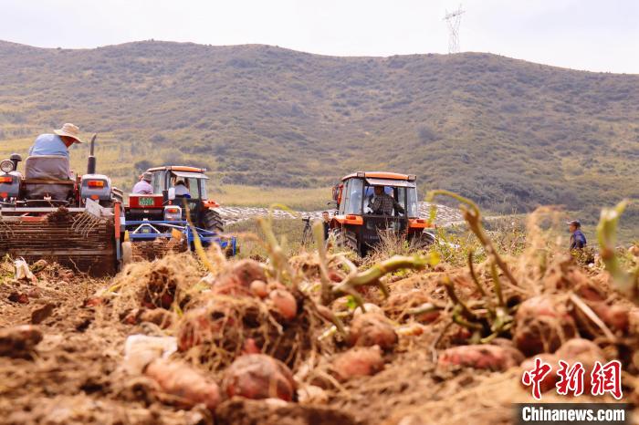 青海東部農(nóng)業(yè)區(qū)：“一分川、一分水、八分山”里“刨金記”