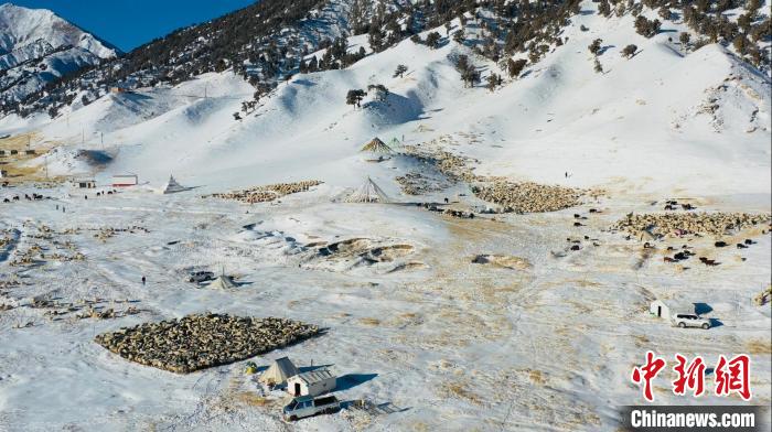 圖為無人機(jī)航拍牧場?！《继m縣融媒體中心供圖