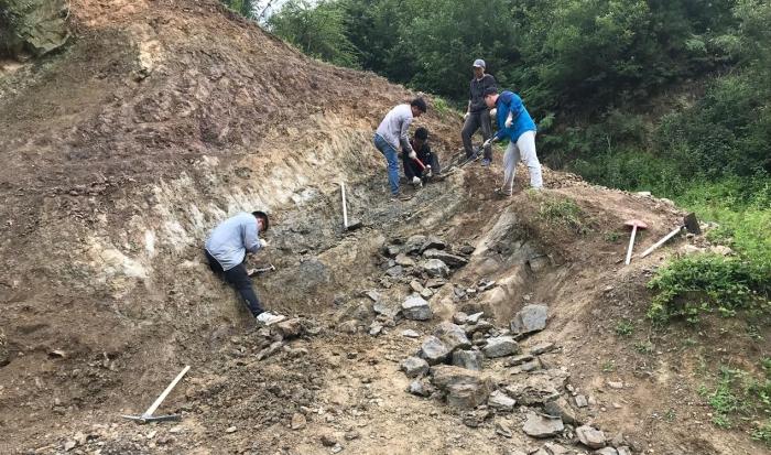 2018年玉海翼角魚野外發(fā)掘采集現(xiàn)場?！∩w志琨 攝