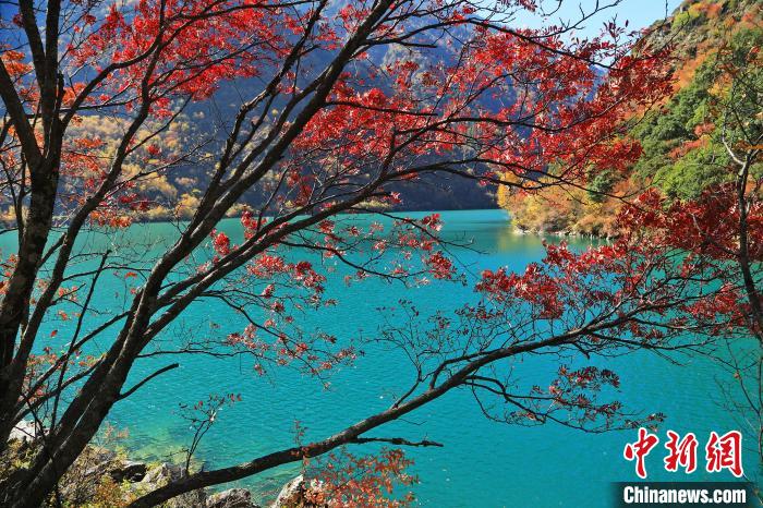 松坪溝風(fēng)光?！『吻搴?攝