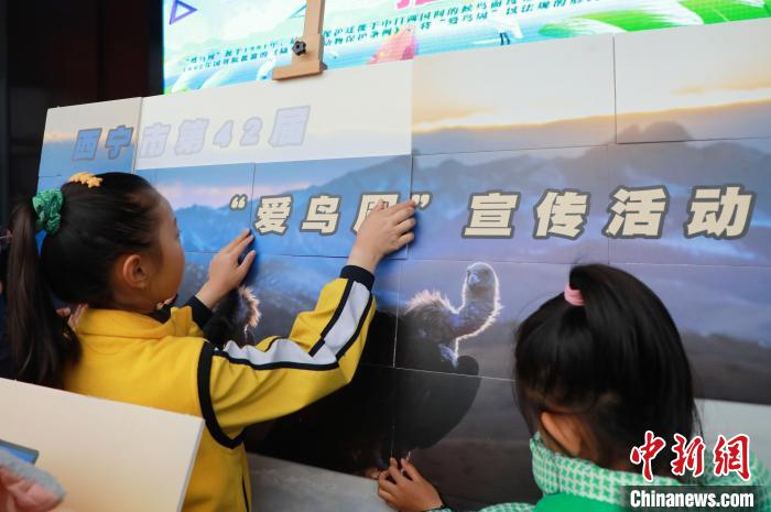 圖為學(xué)生通過拼圖游戲了解鳥類知識(shí)。　馬銘言 攝