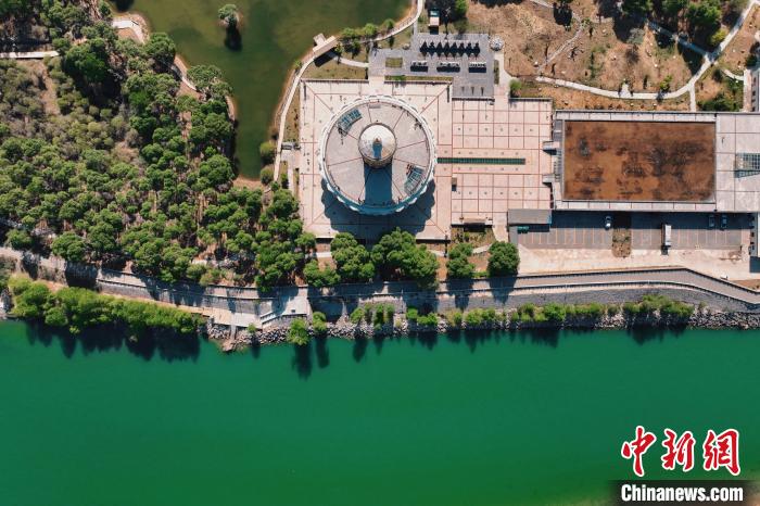 航拍青海貴德黃河岸畔綠意濃濃?！≮w凜松 攝