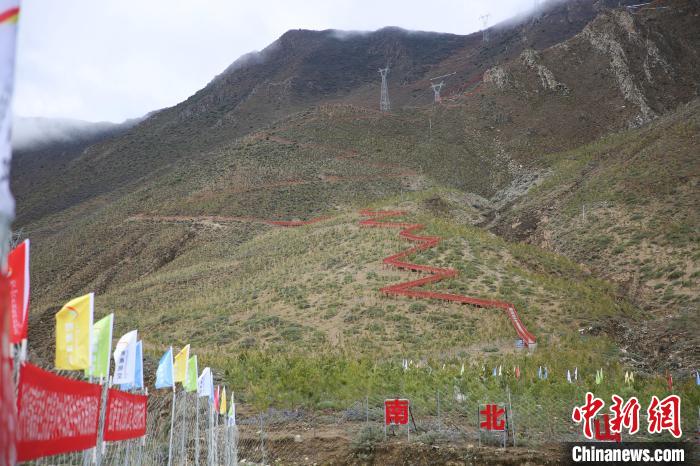 圖為拉薩南北山綠化工程拉薩曲水縣才納村5號片區(qū)?！∝暣_ 攝