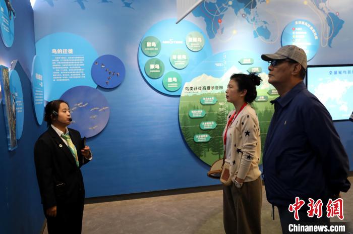 圖為臺商在祁連山國家公園生態(tài)科普館內(nèi)聆聽講解?！⊙Φ?攝