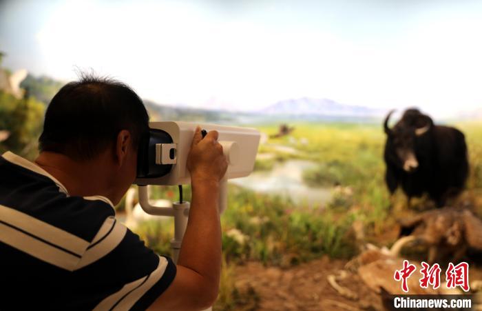 圖為臺商觀看祁連山國家公園生態(tài)科普館內(nèi)生態(tài)場景。　薛蒂 攝