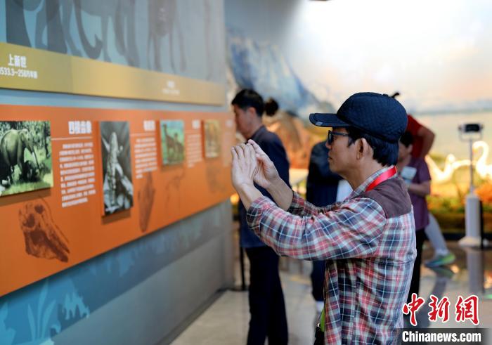 圖為臺商在祁連山國家公園生態(tài)科普館觀看墻面藝術圖文?！⊙Φ?攝
