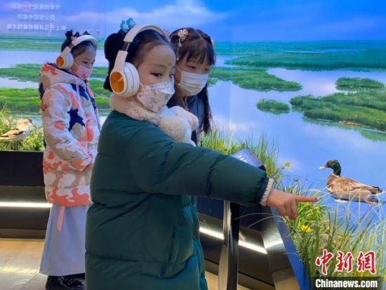 圖為學(xué)生在西寧市第一中學(xué)濕地科普宣教館內(nèi)參觀?！±罱瓕?攝