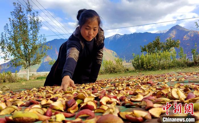 圖為通麥村村民巴桑拉姆晾曬切片蘋(píng)果?！∝暽＠?攝