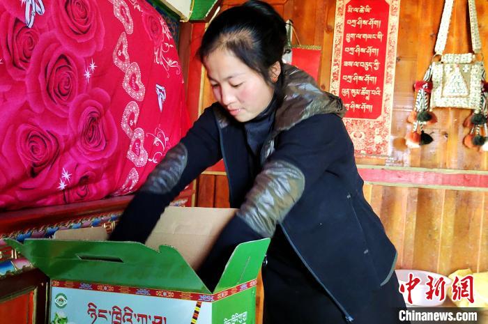 圖為通麥村村民巴桑拉姆把精心挑選的蘋(píng)果裝箱?！∝暽＠?攝