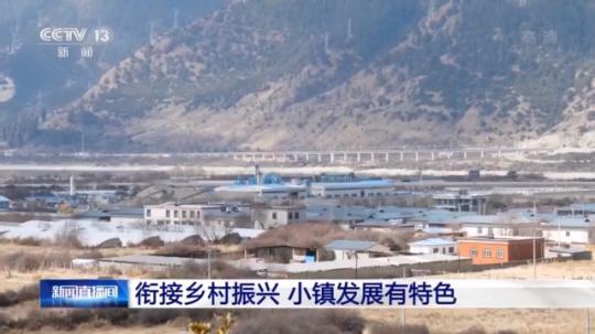 種蘑菇、養(yǎng)駱駝...。。特色產(chǎn)業(yè)助力鄉(xiāng)村振興走新路