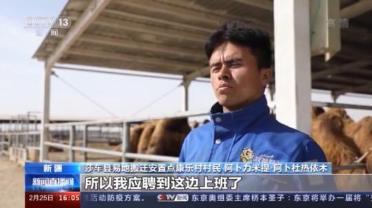 種蘑菇、養(yǎng)駱駝...。。特色產(chǎn)業(yè)助力鄉(xiāng)村振興走新路