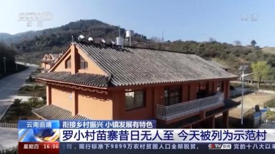 種蘑菇、養(yǎng)駱駝...。。特色產(chǎn)業(yè)助力鄉(xiāng)村振興走新路