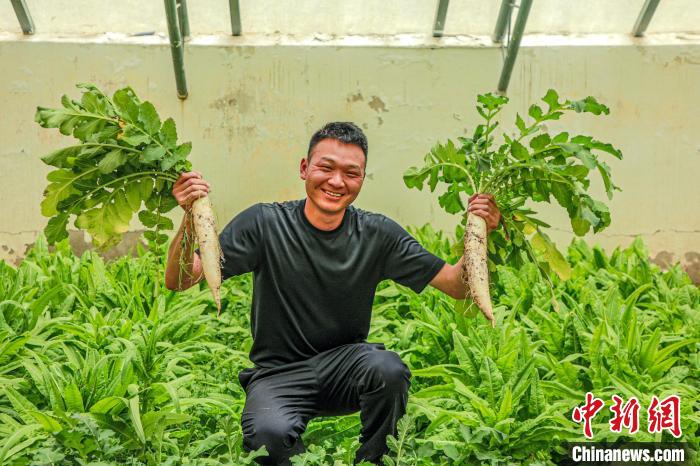 西藏阿里門(mén)士邊境派出所民警兼職大棚種植、豐富牧民餐桌